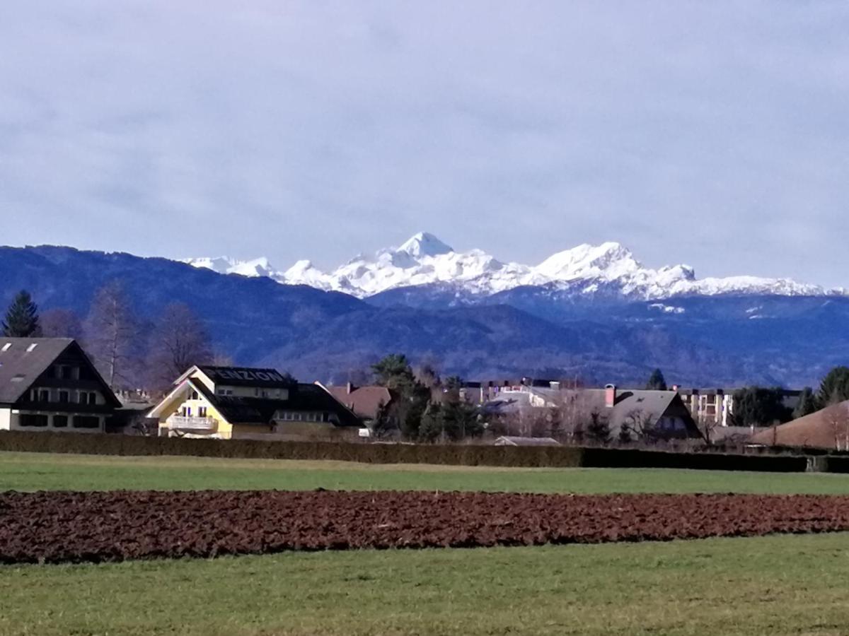 Appartamento Edelweiss Radovljica Esterno foto